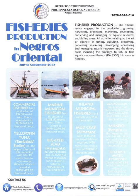 Negros Oriental Landing Page .